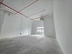 Ct Foodnex (D25), Factory #497051241